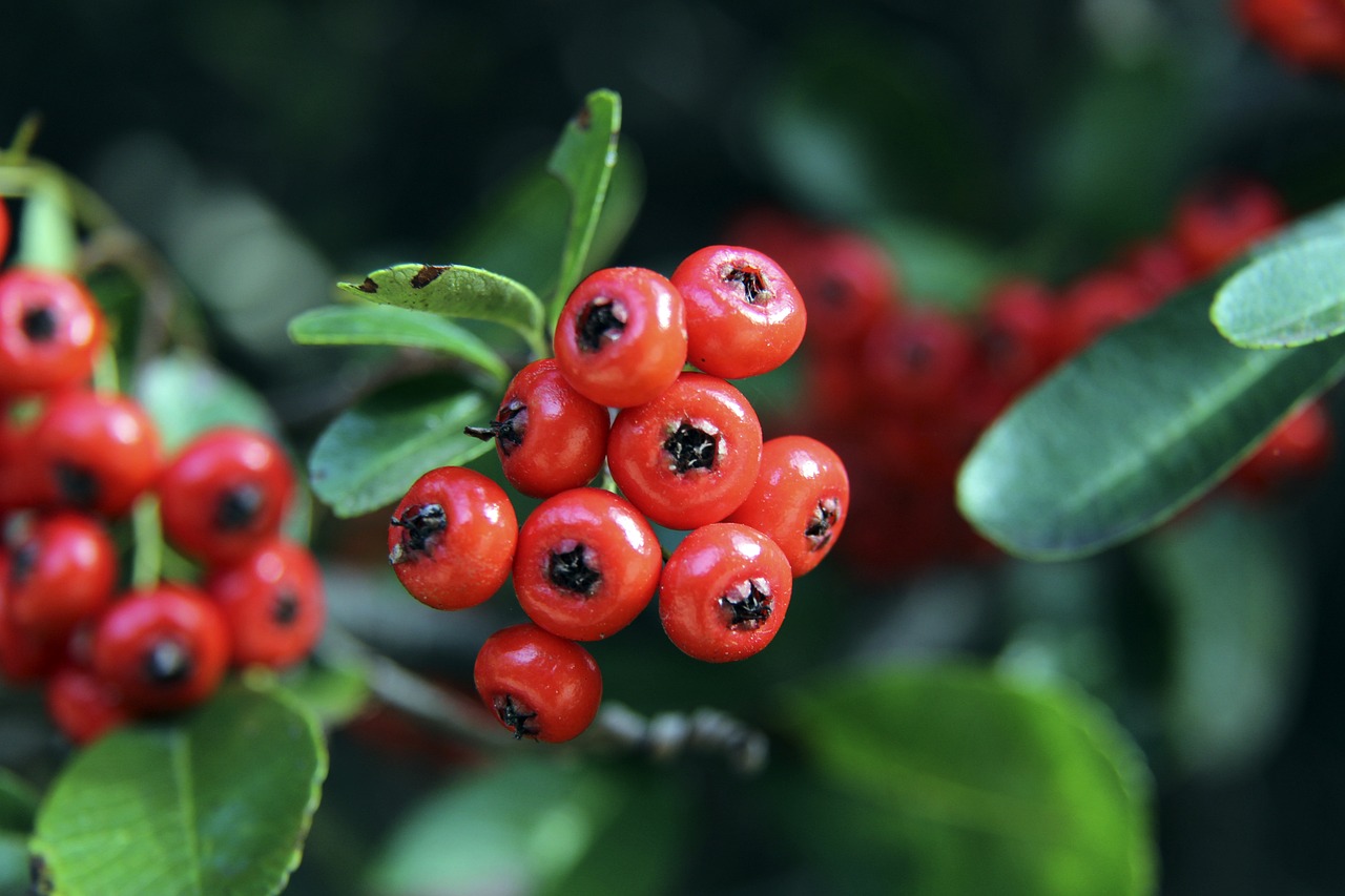 还能有效地 还能有效地