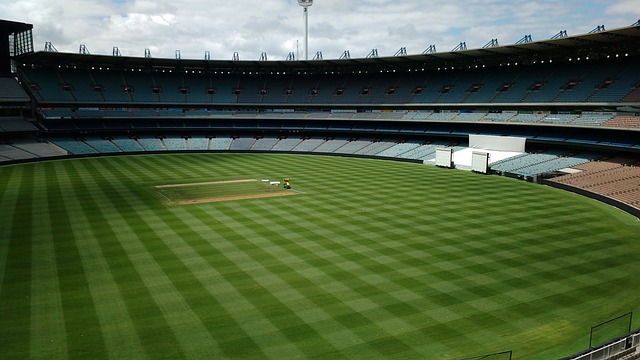 清晰表明 清晰表明