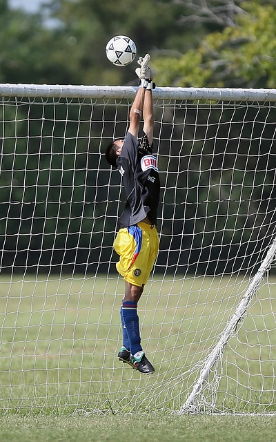 曼聯踢球的 曼聯踢球的