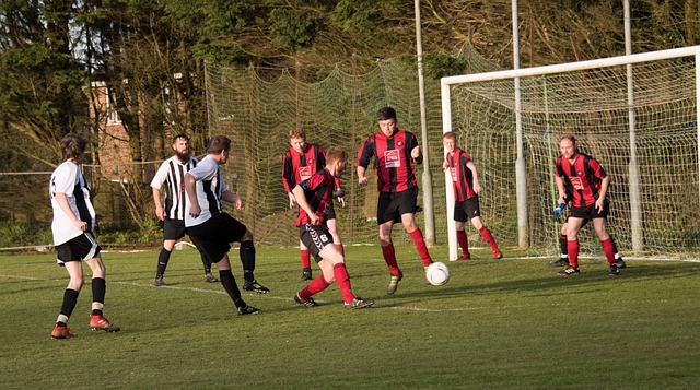 鬥志的原因 鬥志的原因