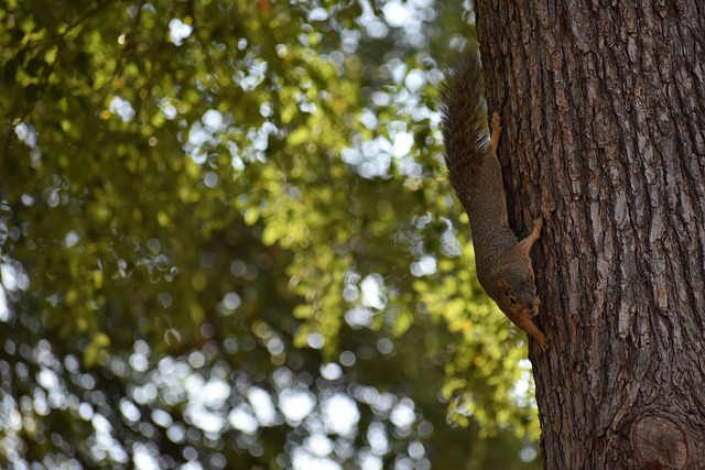 成为球员之 成为球员之