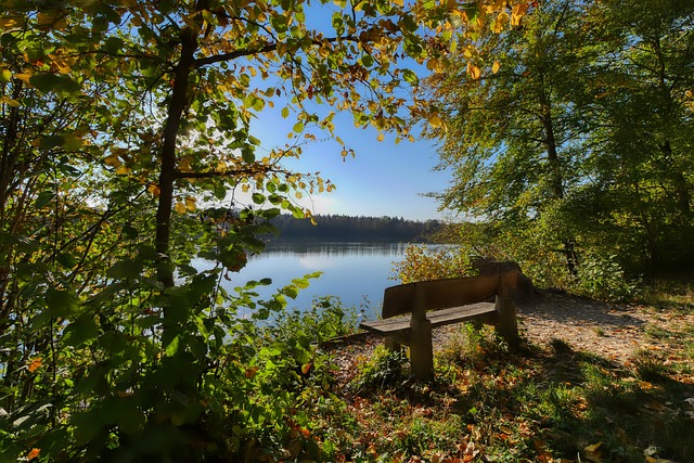 的魅力与赛 的魅力与赛