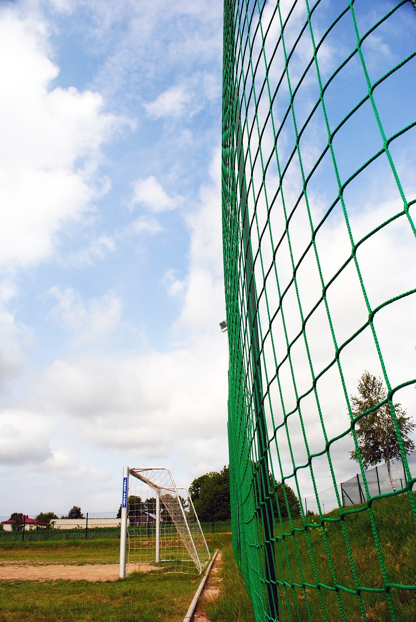 努力的价值 努力的价值