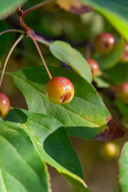 与利物浦的 与利物浦的